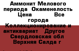 Аммонит Мелового периода. Окаменелость. › Цена ­ 2 800 - Все города Коллекционирование и антиквариат » Другое   . Свердловская обл.,Верхняя Салда г.